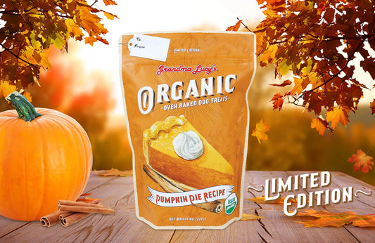 Grandma Lucy's Organic Pumpkin Pie Treats 8oz