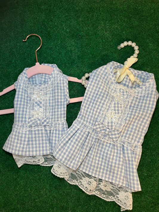 Parisian Pet Blue Gingham Lace Dress